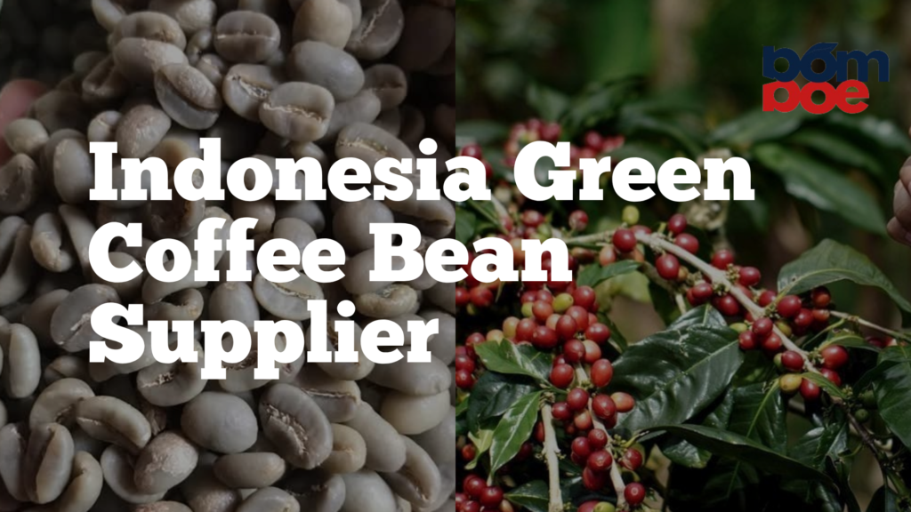 Green Coffee Bean Supplier: Quality Green Beans from Indonesia