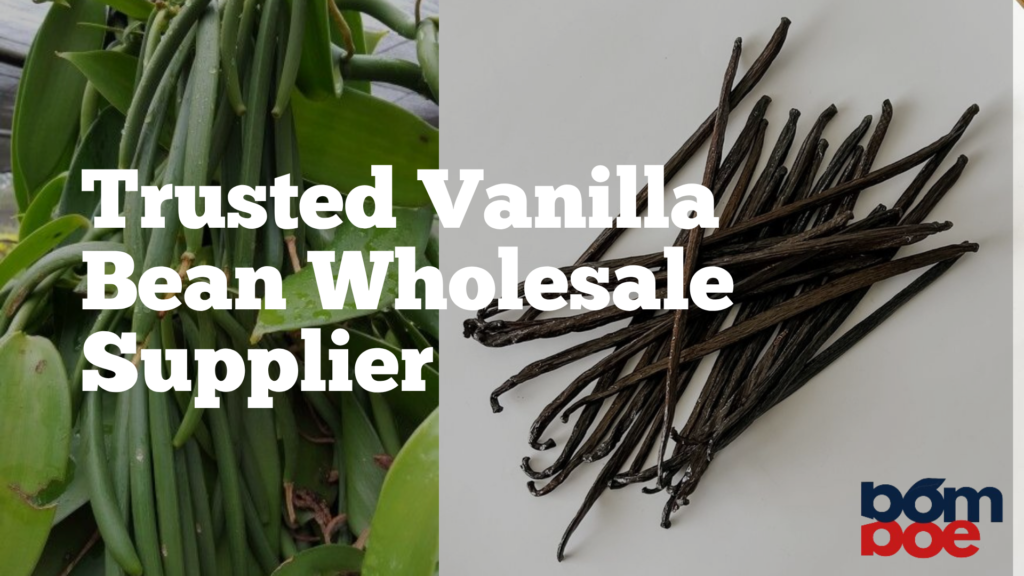 Bomboe Desa Indonesia: Trusted Wholesale Vanilla Beans Supplier for International Markets
